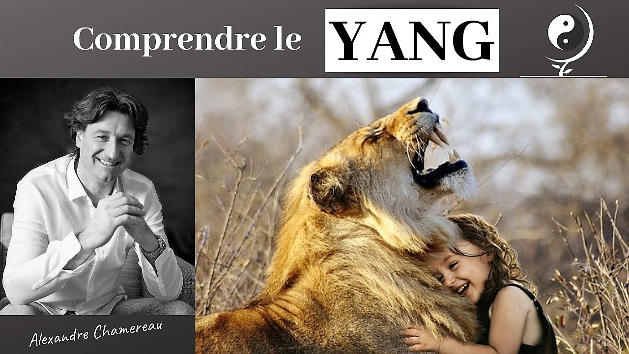 Flammes jumelles. La polarité YANG