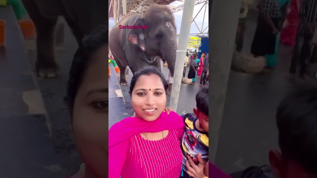 Blessings Temple elephant ☺️😍#shorts #viral #elephants #reels#templevlogs ll Sarbath kids
