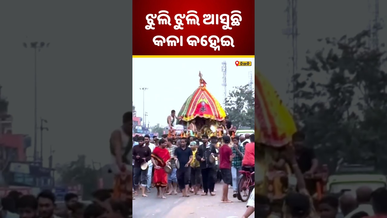 ଝୁଲି ଝୁଲି ଆସୁଛି କଳା କହ୍ନେଇ⭕❗⭕ Shorts | Niali News