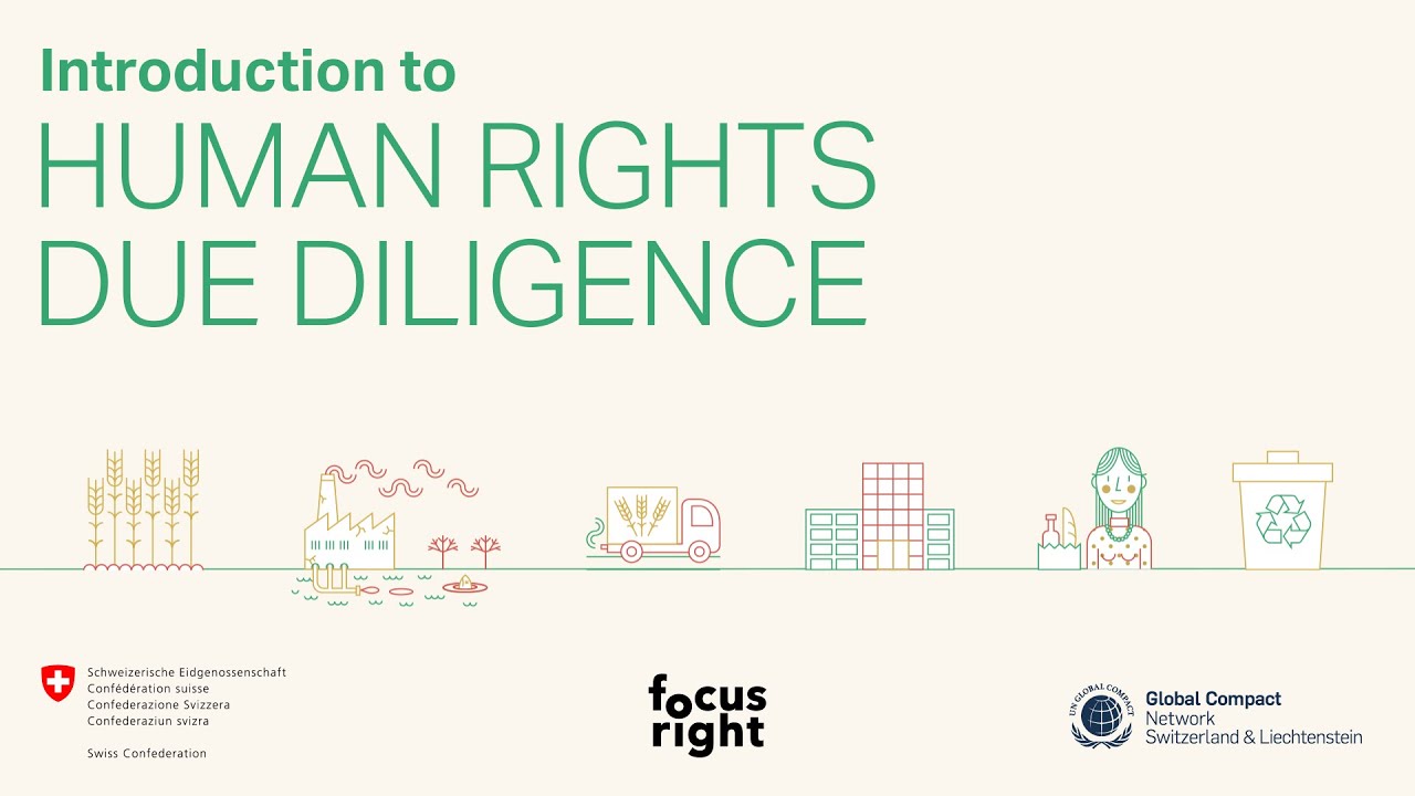 Introduction to Human Rights Due Diligence