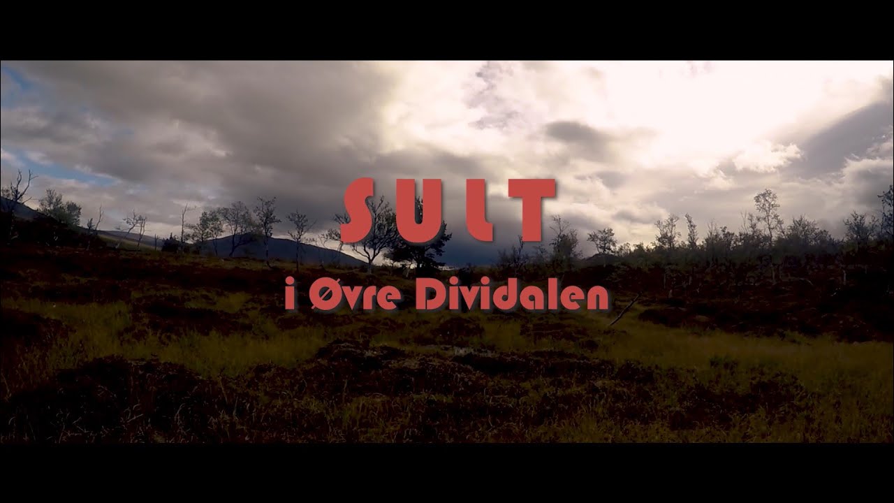 Sult i Øvre Dividalen Nasjonalpark