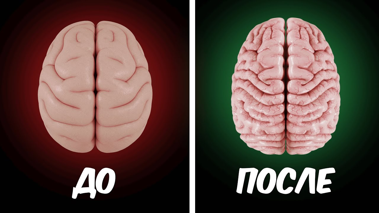 7 простых упражнений, которые реально прокачивают мозг