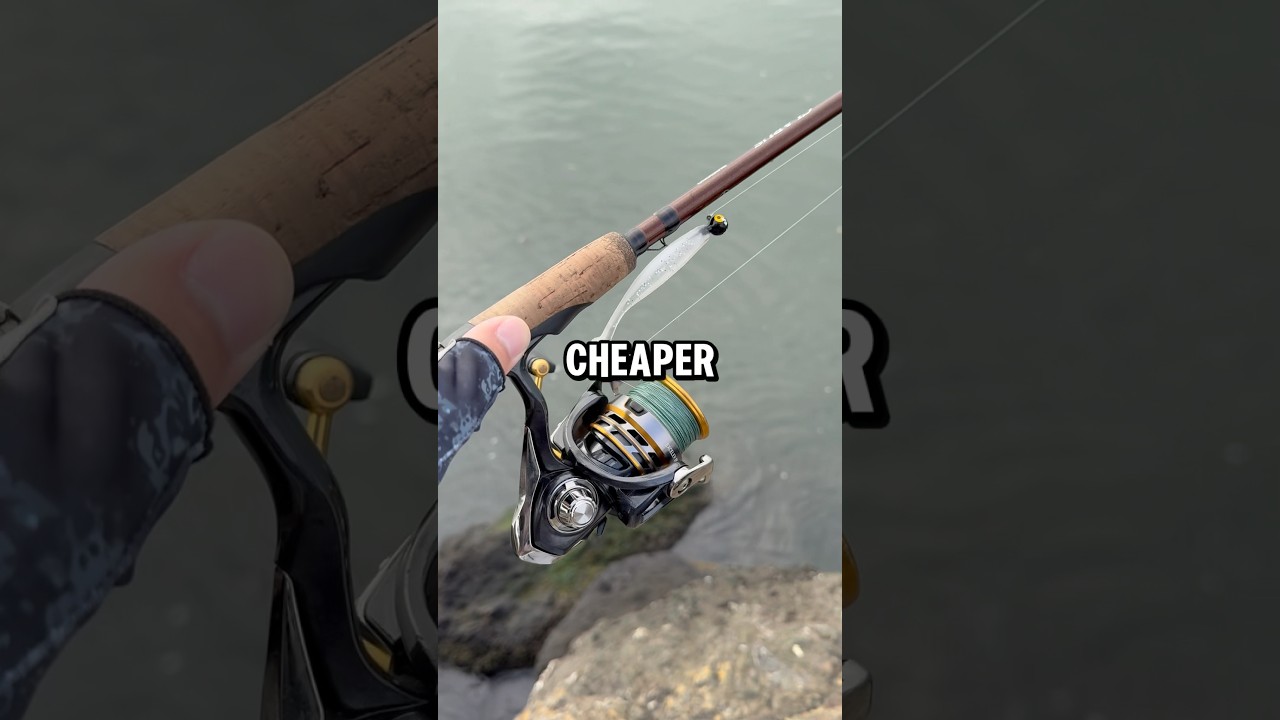 Expensive vs Cheap Reels