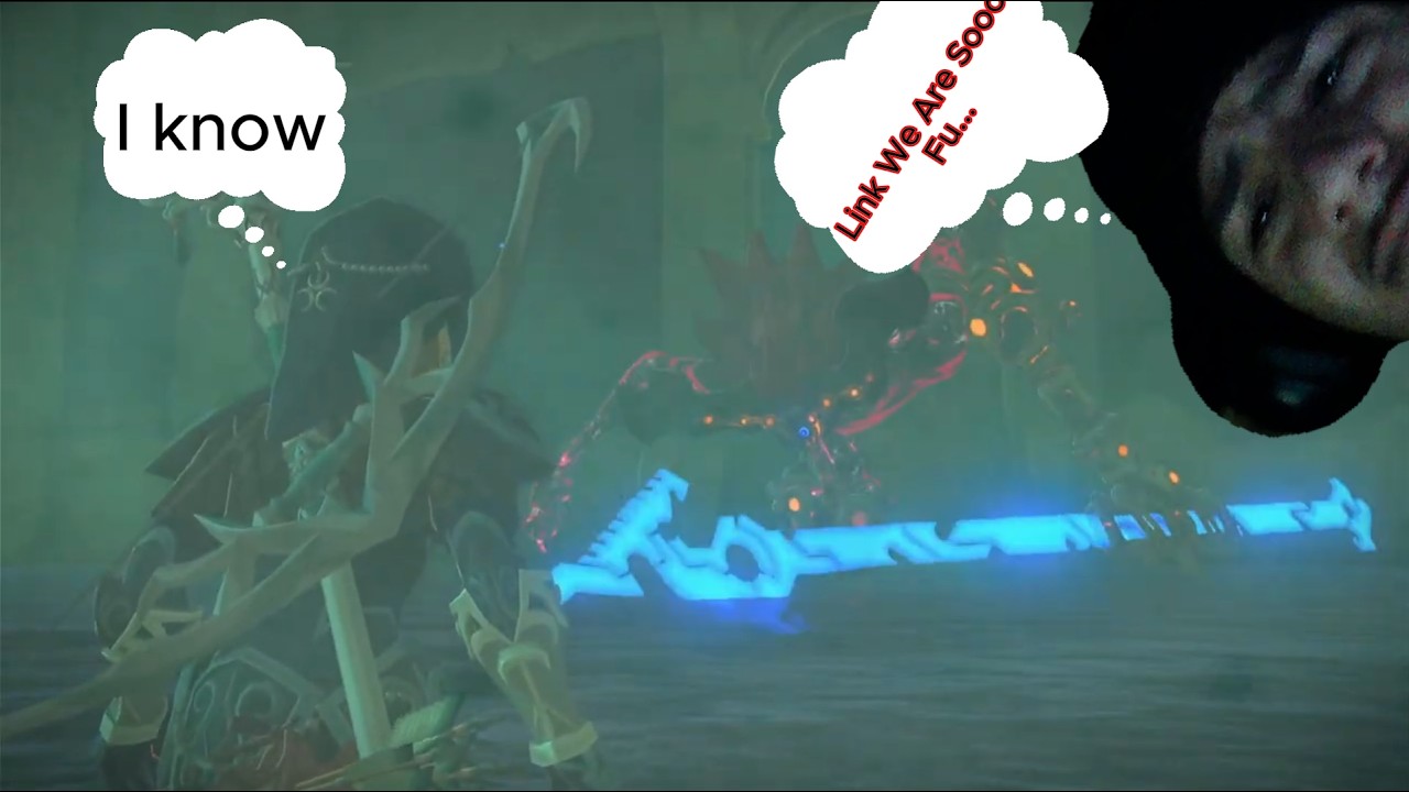 The Legend of Zelda Breath of the wild. Vah Ruta's Scourge and Mipha's Song