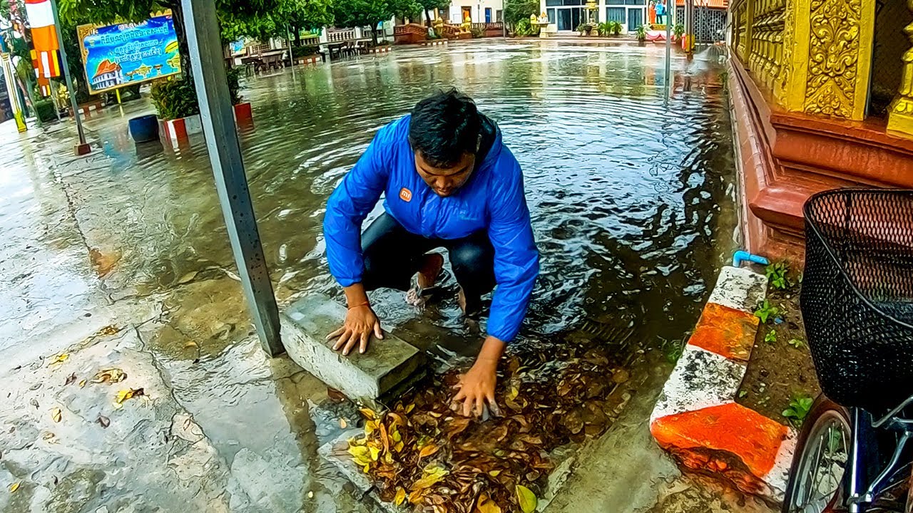 Remove Leaves Clogged Culvert After Rain