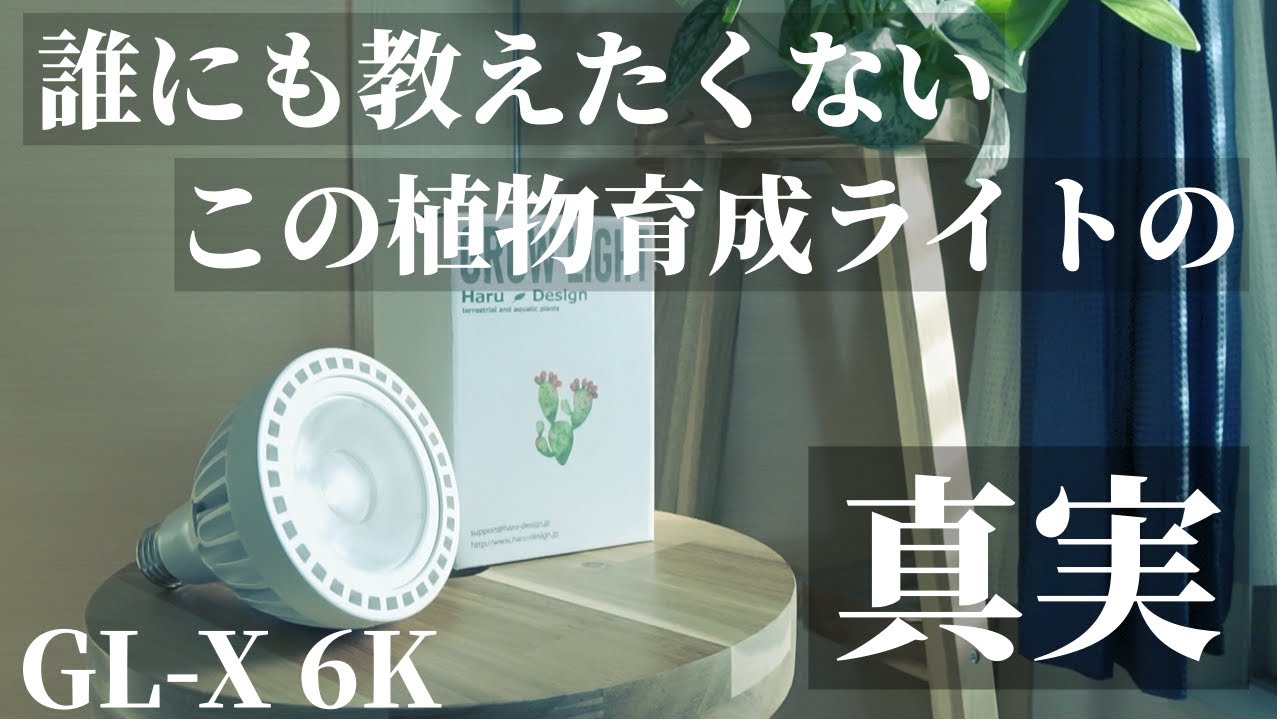 【コスパ最強】植物育成用LEDライト「GL-X 6K」をご紹介！安い！明るい！カッコイイ！HaruDesignはるデザインの超おすすめ育成ライト！アガベ塊根ビカクシダ観葉植物、アクアリウム、テラリウム