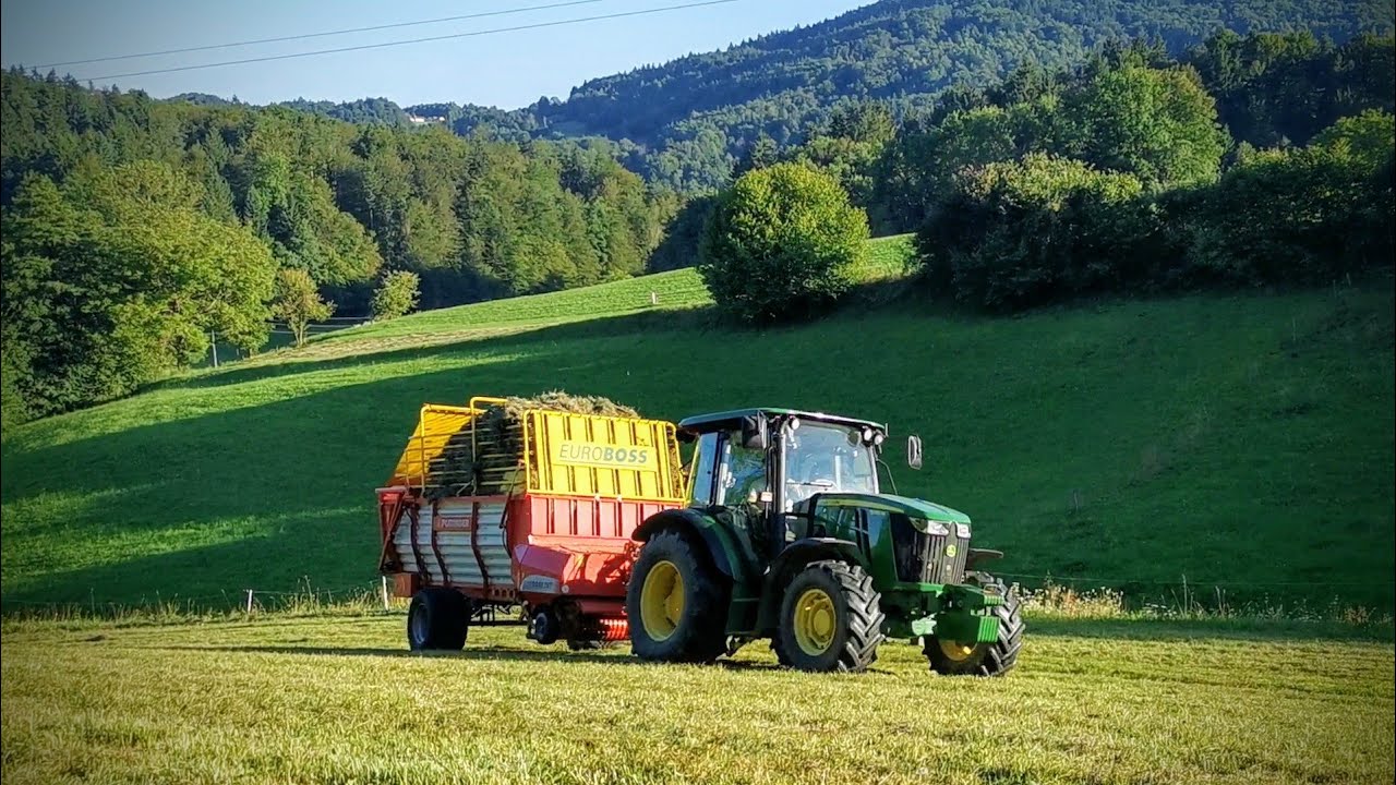 3rd Cut Hay for Dairy Cows on a Small Family Farm