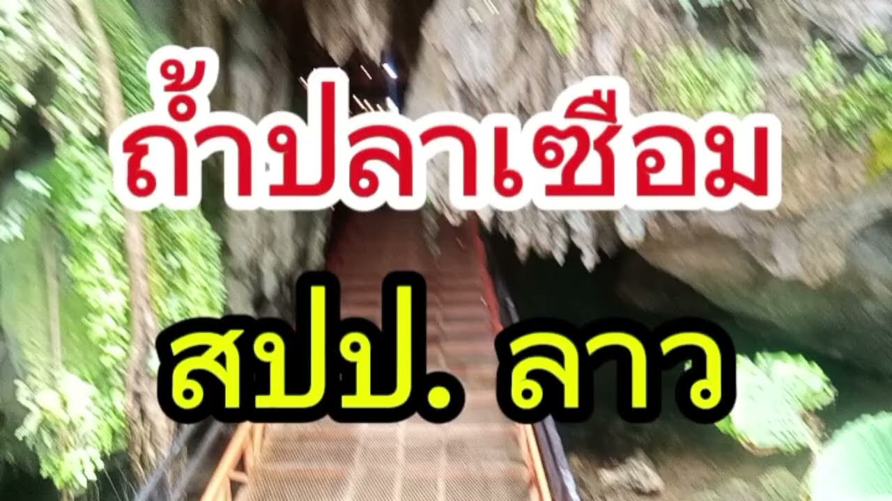 รีวิวเส้นทางเดินถ้ำปลาเซือม#laos #สปปลาว #travel #ถ้ำปลาเซือม#ท่าแขก#แขวงคำม่วน #รถเช่าไทยลาว#รถตู้
