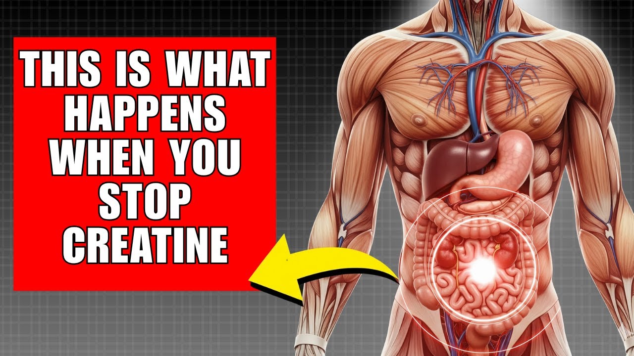 What Happens After Stopping Creatine