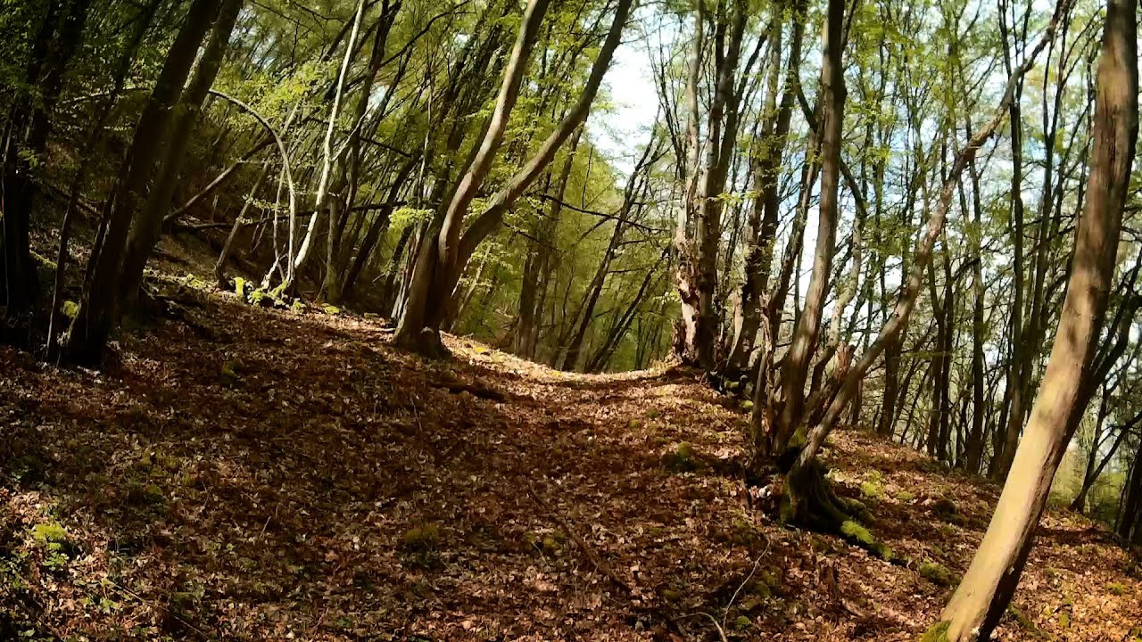 Spanish Trace And The Imaginary Wagon Road