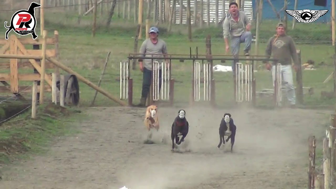 Canódromo Pampa Redonda - 06/10/2019