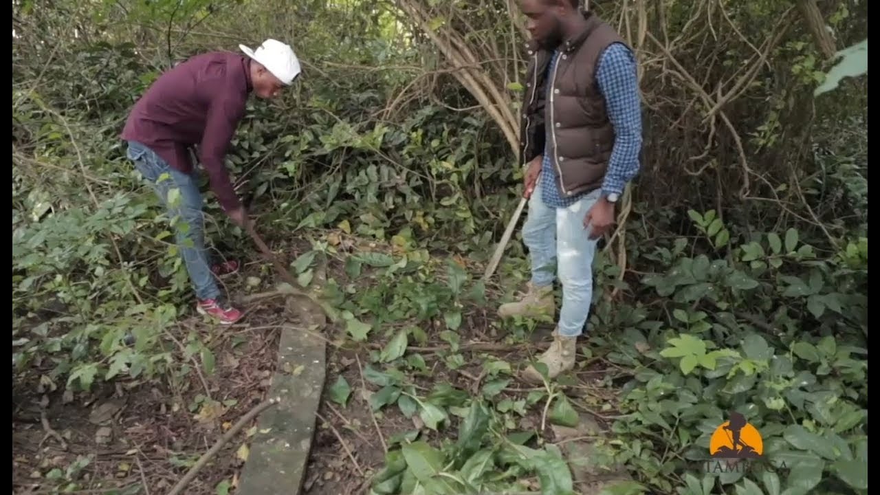 KATAMBUGA: HAYA NDIO MAKABURI MAREFU ZAIDI NDANI YA KISIWA CHA WAFU: S01E11