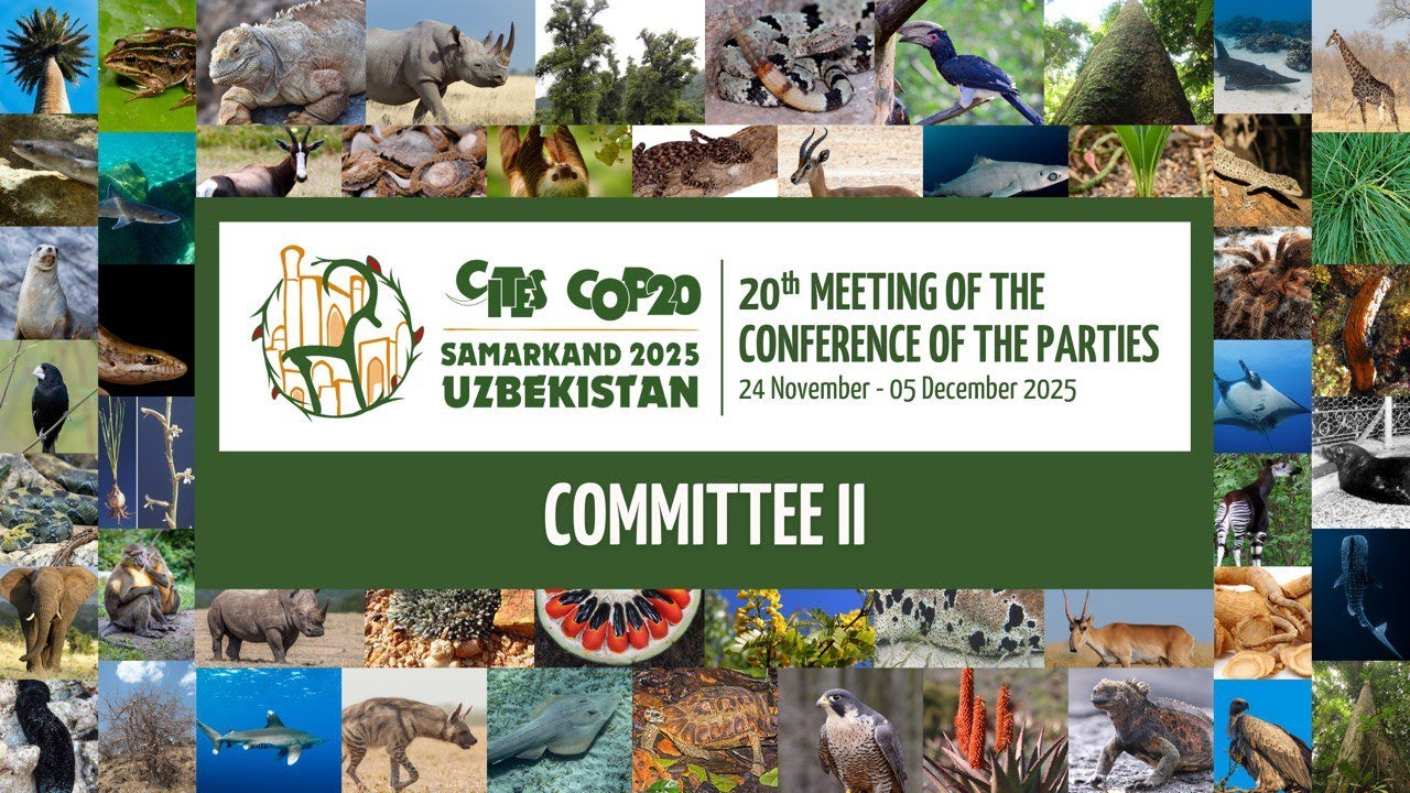CITES CoP20 Committee II - Morning (November 28)