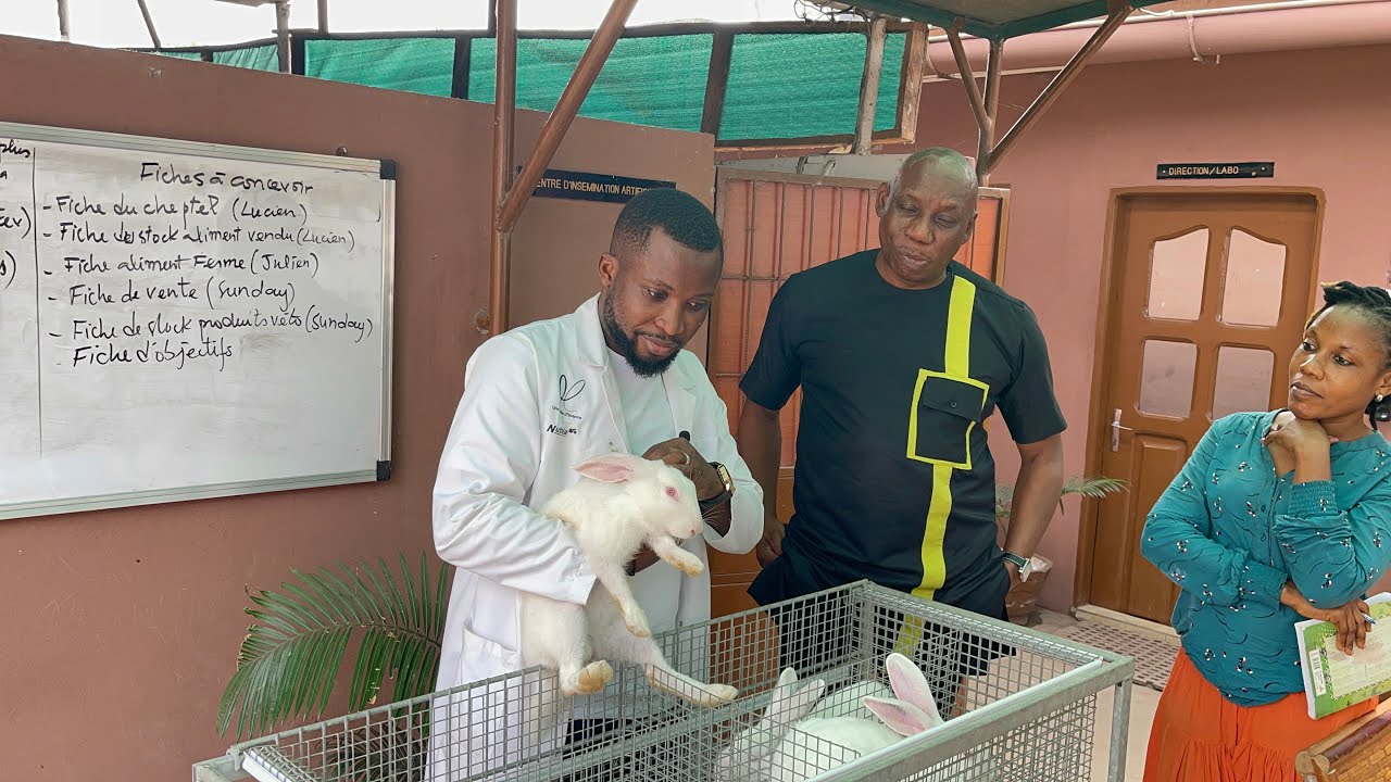🚨Développement Cuniculture africaine : des résultats scientifiques à la rentabilité économique