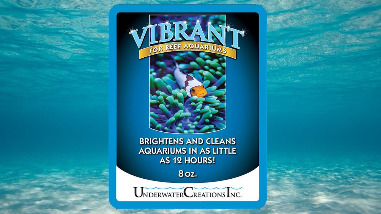 Vibrant (Anti Algas) - Video Test Parte 1