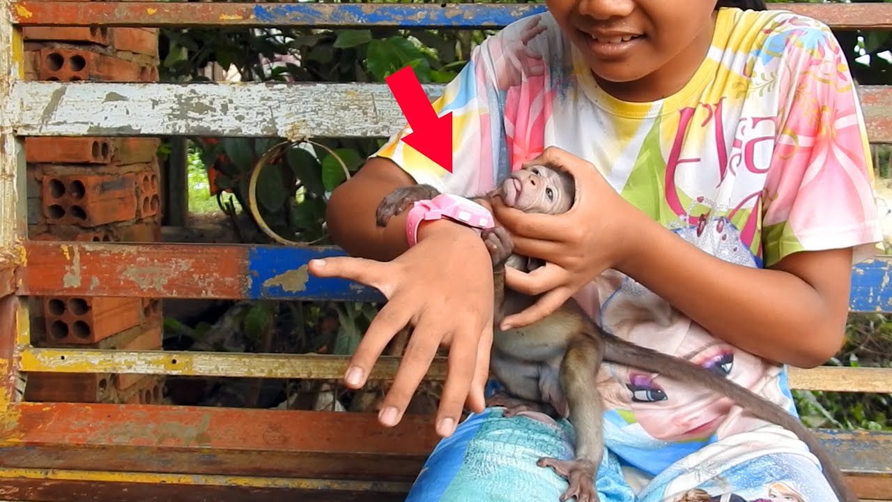 Haha Amo try to eat the watch of sister.