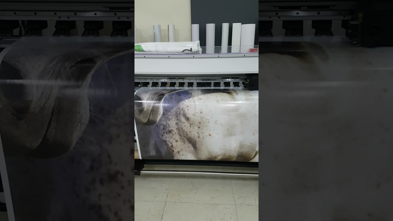 One Way Vision Sticker Printing | Mimaki JV150-160 #shorts