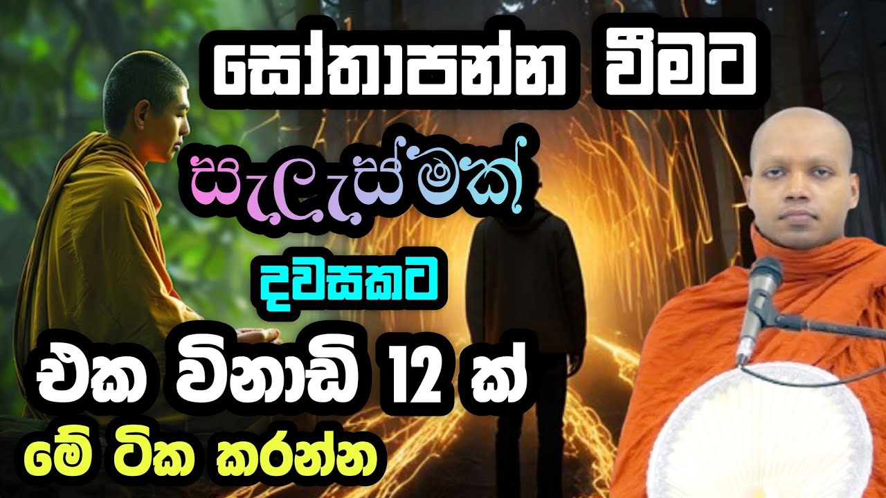 සෝතාපන්න වීමට සැලැස්මක් | Hasalaka Seelawimala Thero | හසලක සීලවිමල හිමි | bana 2025