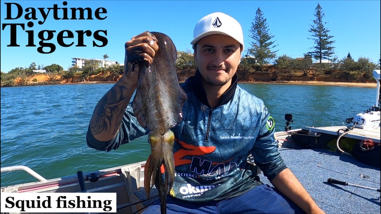 SQUID FISHING, shallow reef, DAYTIME TIGERS