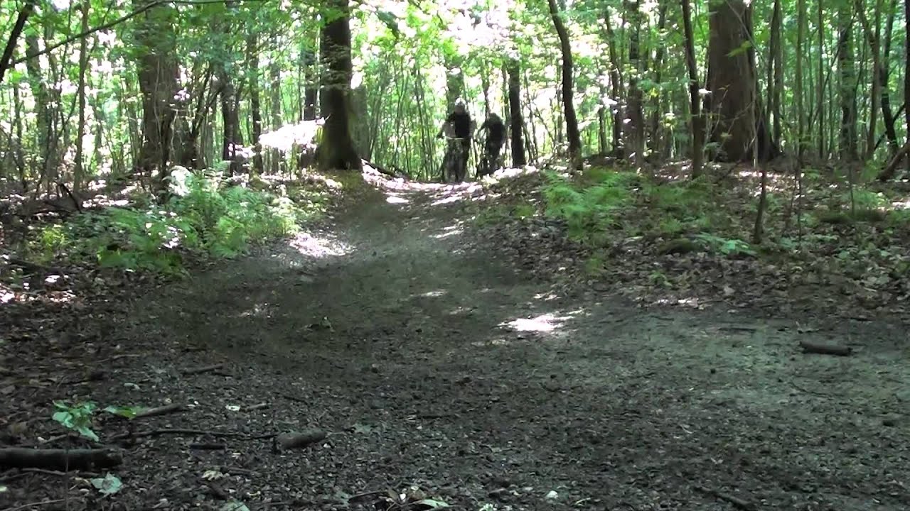 Mountainbike på det røde spor i Hareskovene