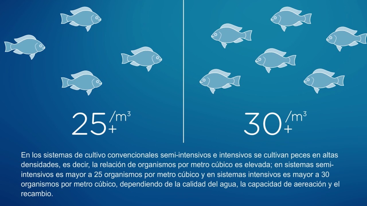 2 3 Organismos Revertidos Para Cultivo