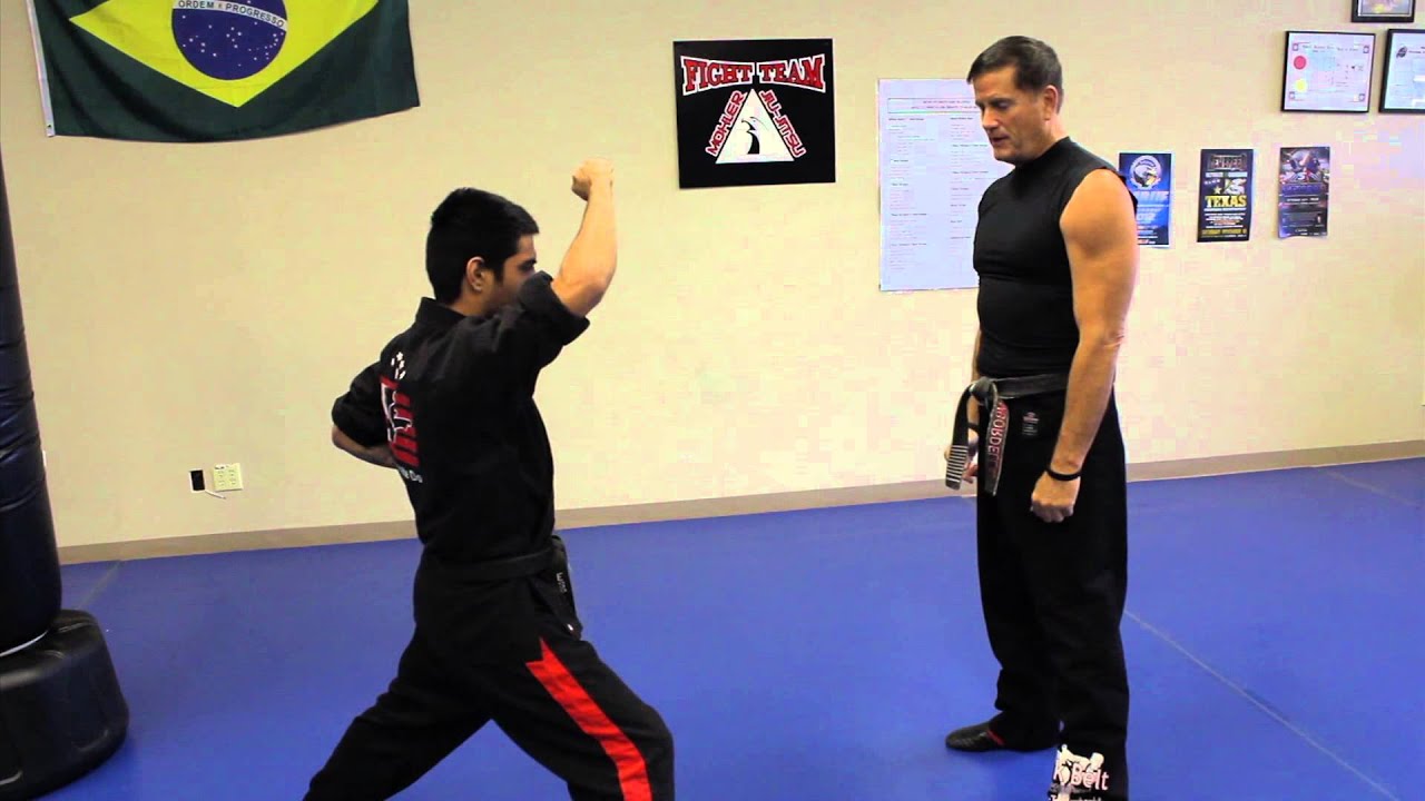 What Are the Requirements for a Purple Belt in Karate? : Martial Arts Lessons