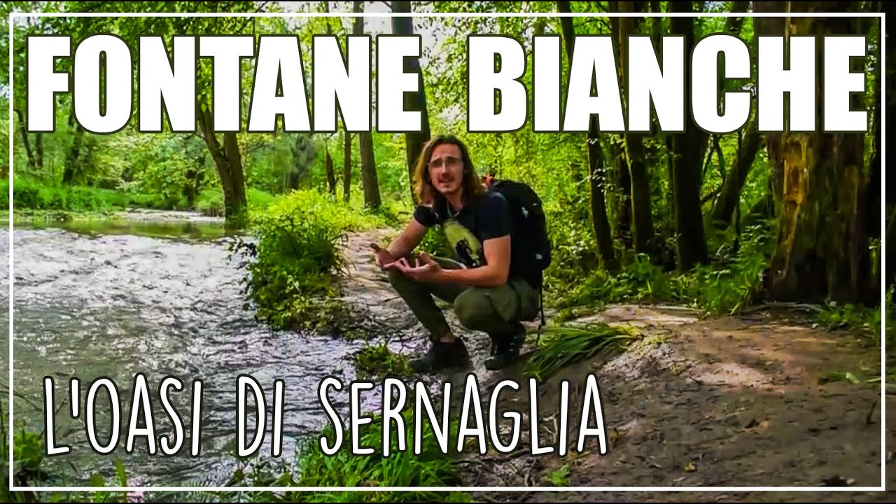 l'OASI delle FONTANE BIANCHE - Parco Naturalistico di Sernaglia della Battaglia