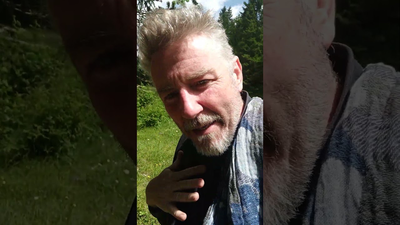 mi siedo su un nido di vespe!!! 