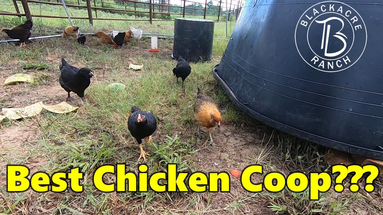 Ep. 374 - Simple Chicken Coop Design