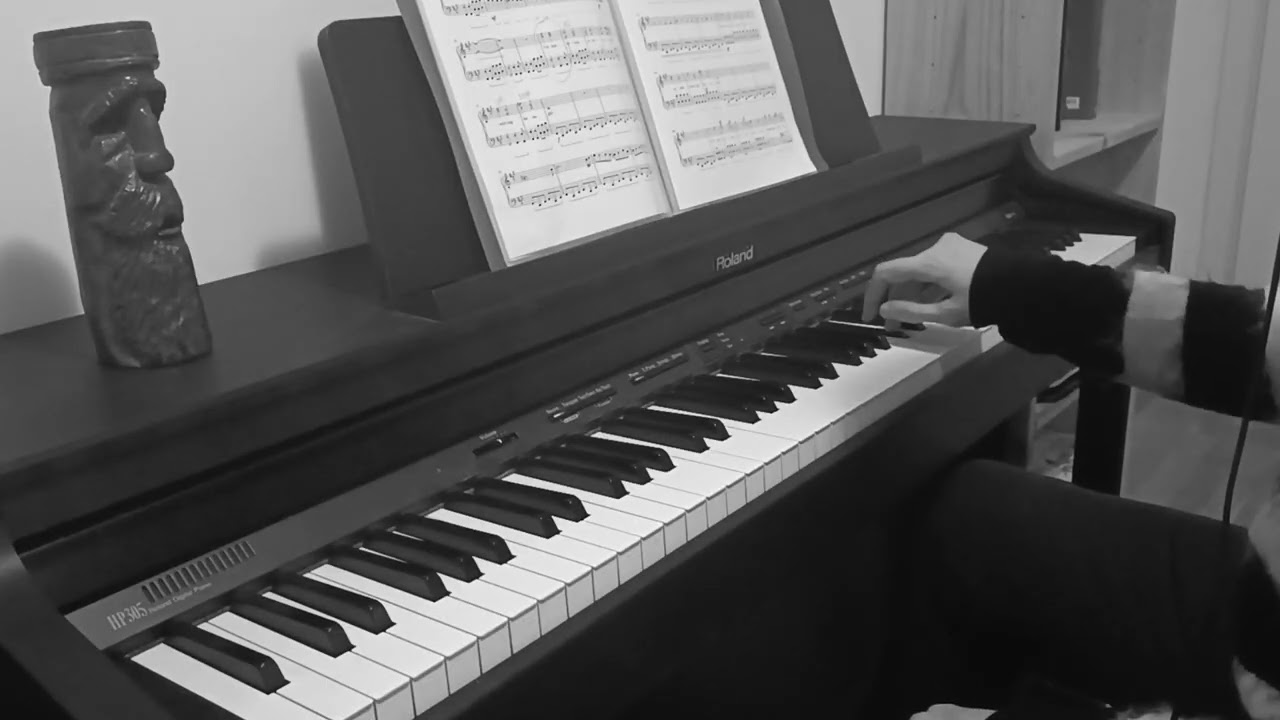 System of a Down: Hypnotize. Piano/Bass Cover