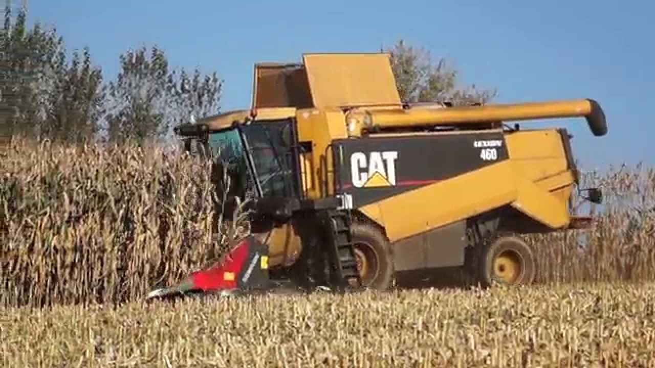 CAT Lexion 460 - żniwa kukurydziane 2014 - CCM w OHZ Osiek