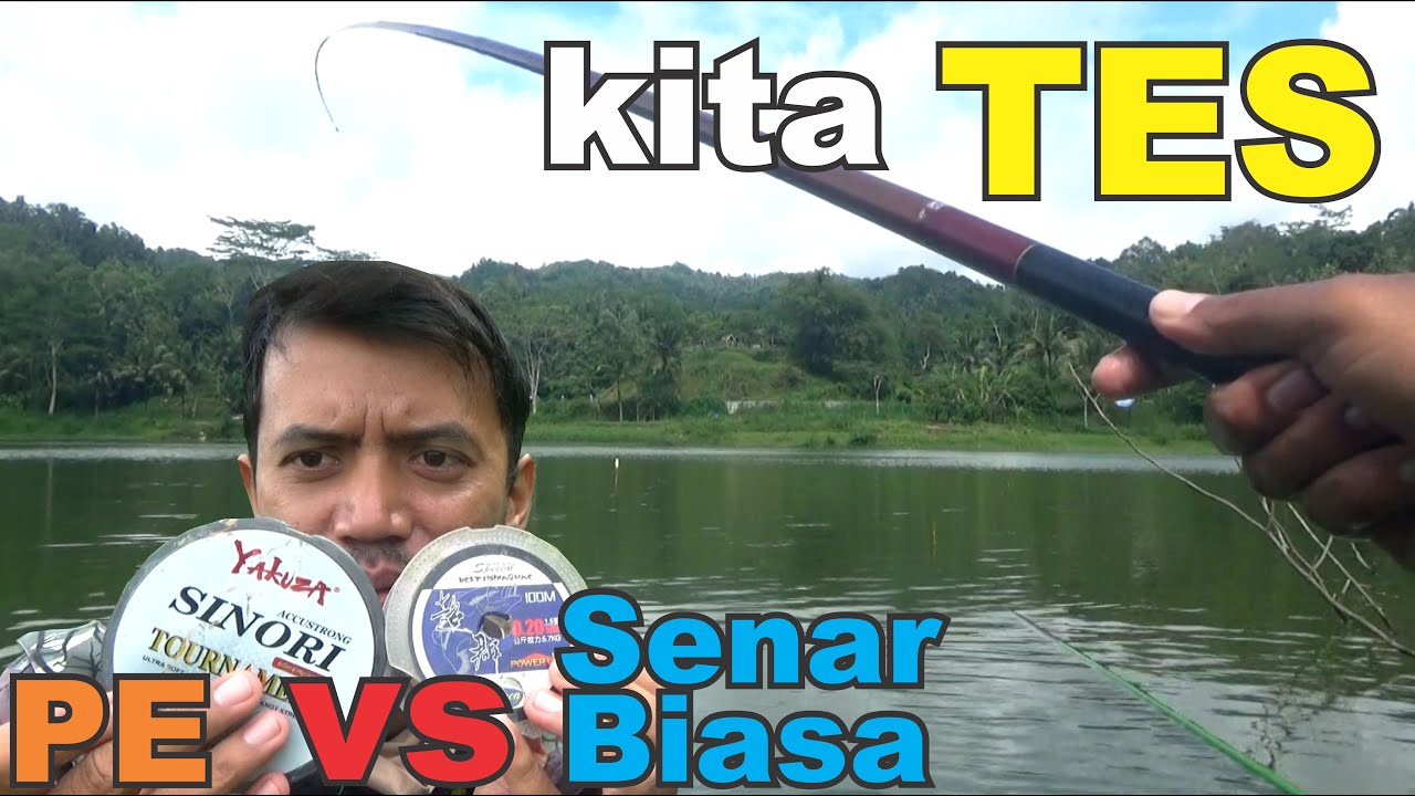 TES !! Senar PE  VS  Senar Biasa untuk mancing nila, efektif mana ?