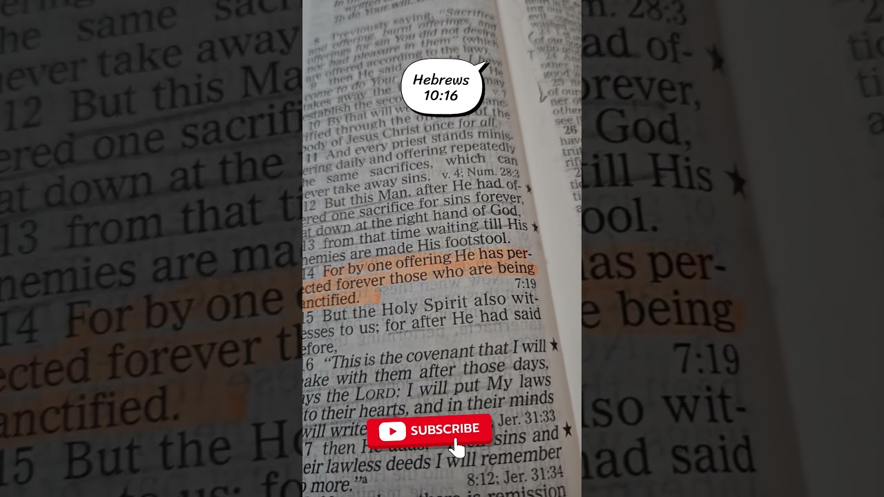 The New Convenant #dailydevotion #gospel #jesuschrist #newconvenant #kingdomlaborer