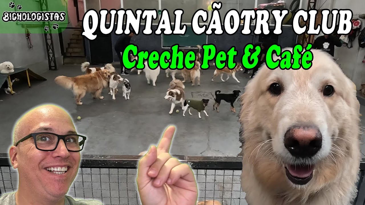 CRECHE animal para seu CÃO é FRESCURA?