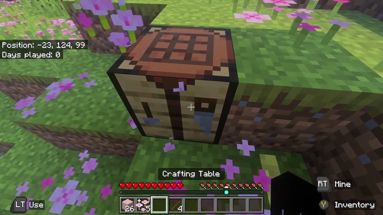 I played minecraft with my friend