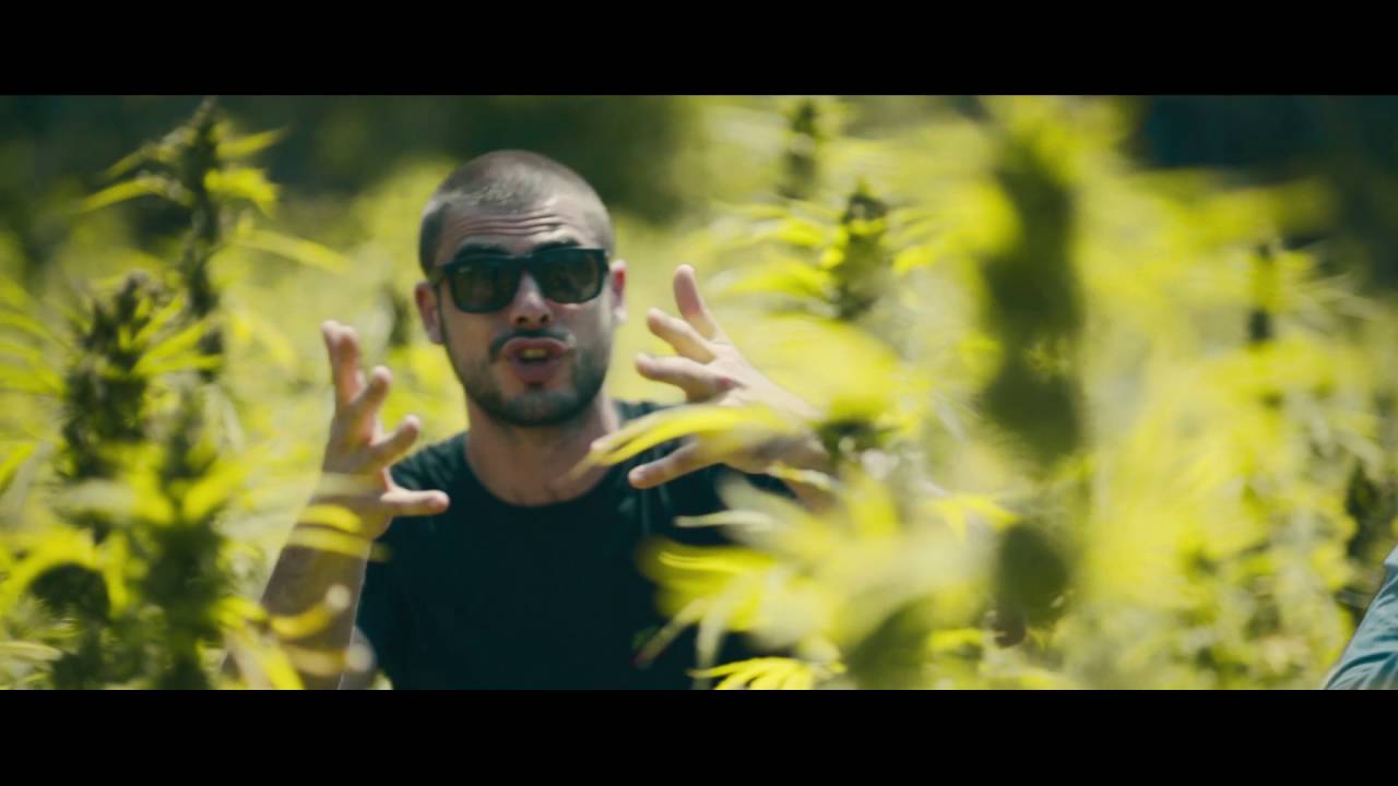 KAAS - Jamaica, Jamaica feat. Miwata (Official Version)