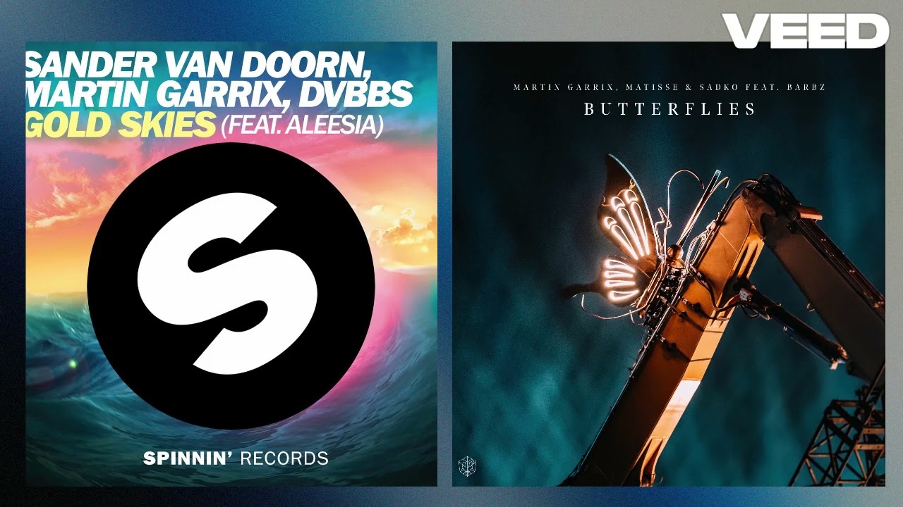 Martin Garrix x Matisse & Sadko - Butterflies x Gold skies (AMF extended mashup)