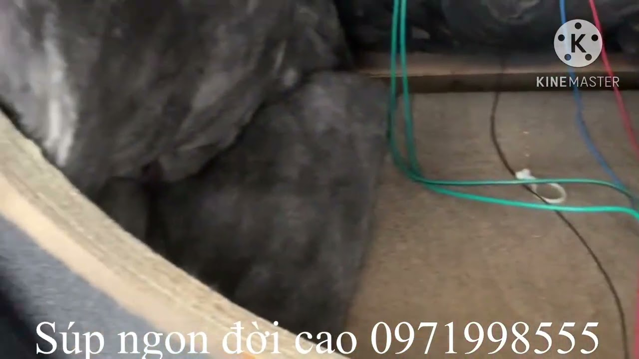 Sup điện Mỹ vip Jbl Prx 818 Alo 0971998555