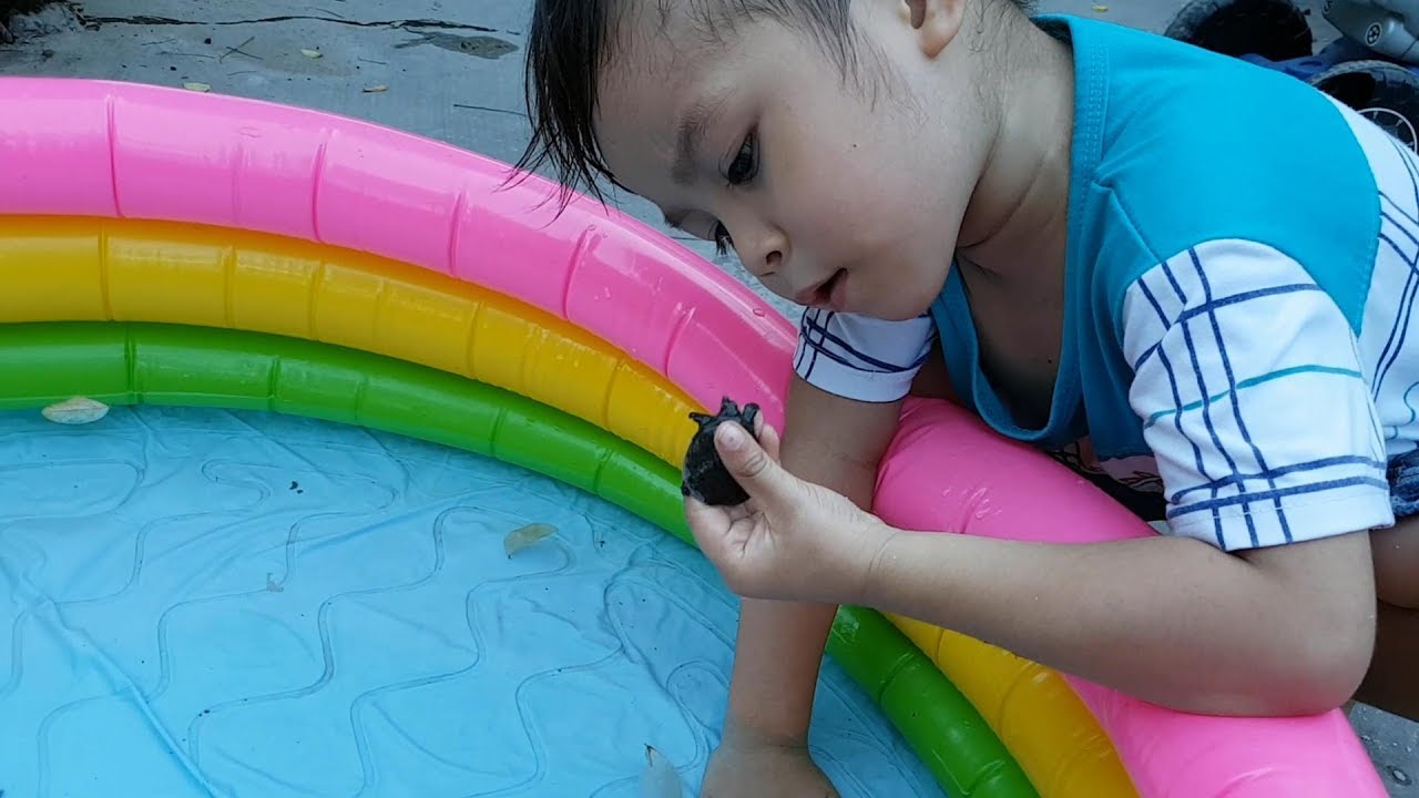 Trò Chơi Bé Pin Cô Bé Rùa ❤ ChiChi ToysReview TV ❤ Đồ Chơi Trẻ Em Baby Doli Fun Song Bài Hát Vần Thơ