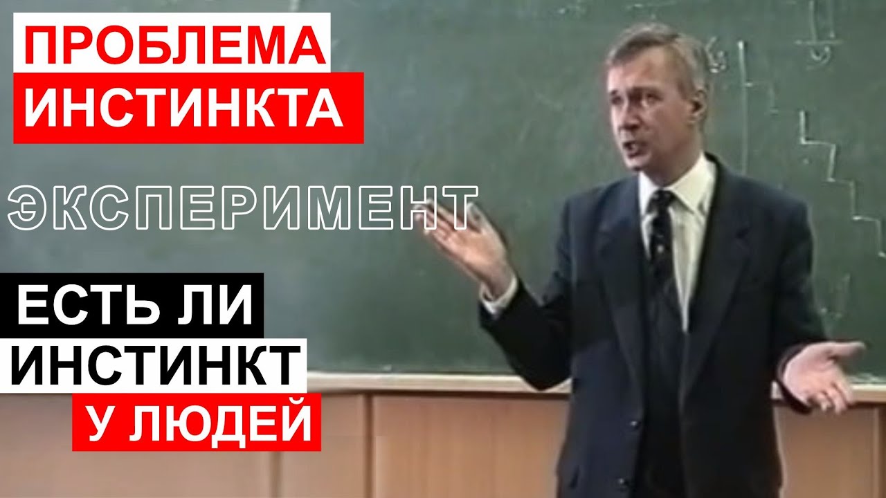 Что такое инстинкт. Есть ли он у людей? Эксперимент. Проблема инстинкта.
