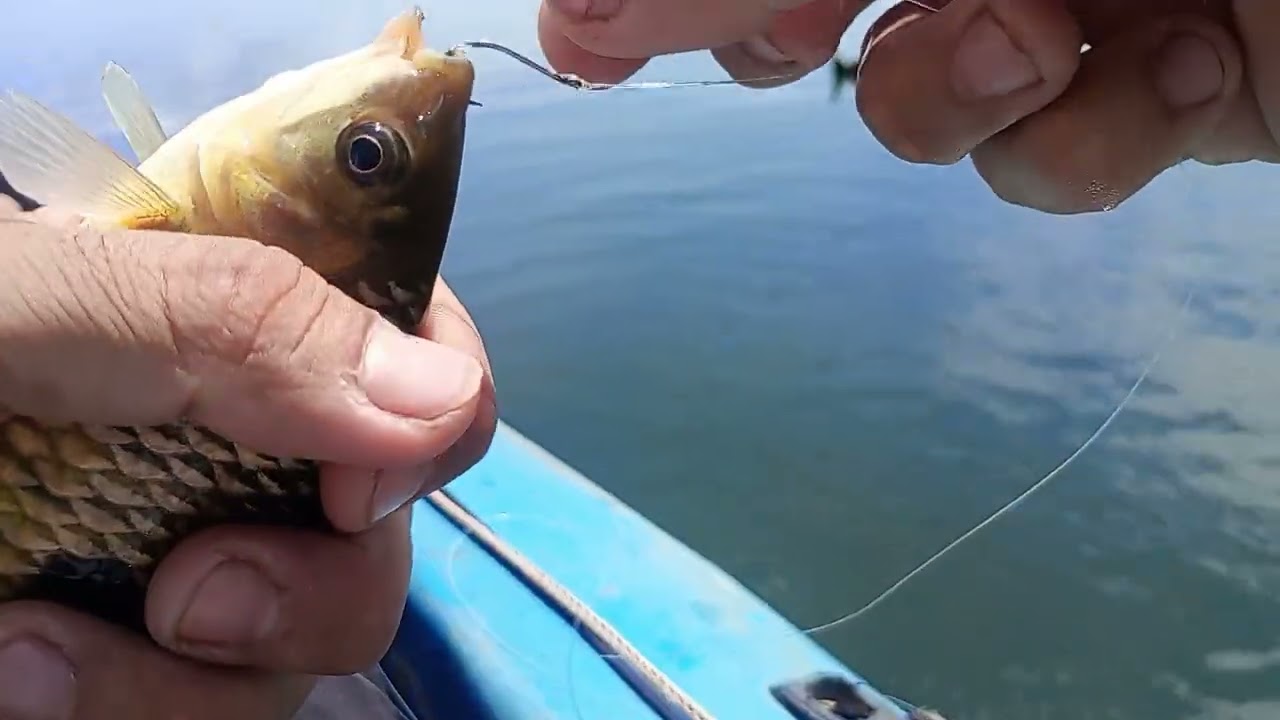 La pesca va tomando color