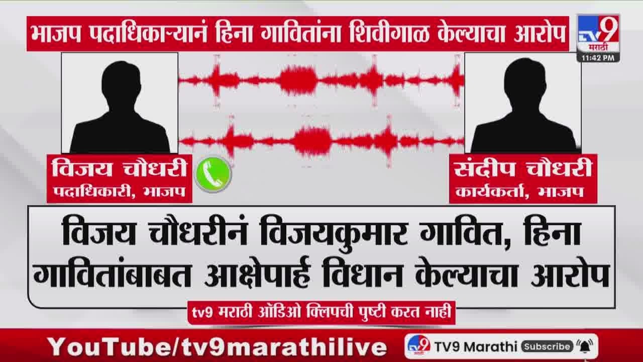 BJP Heena Gavit | भाजप पदाधिकाऱ्यानं हिना गावितांना शिवीगाळ केल्याचा आरोप