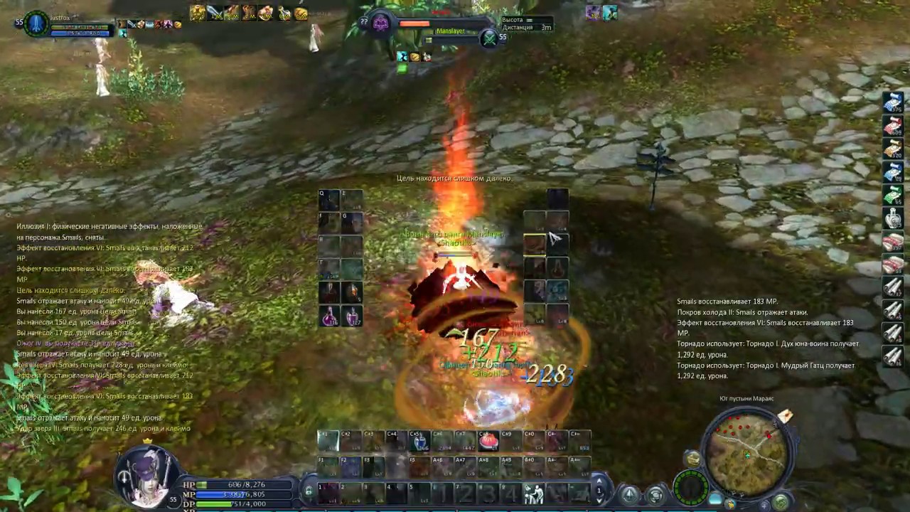 Aion 2.5 PVP Assassin + Glad vs 6