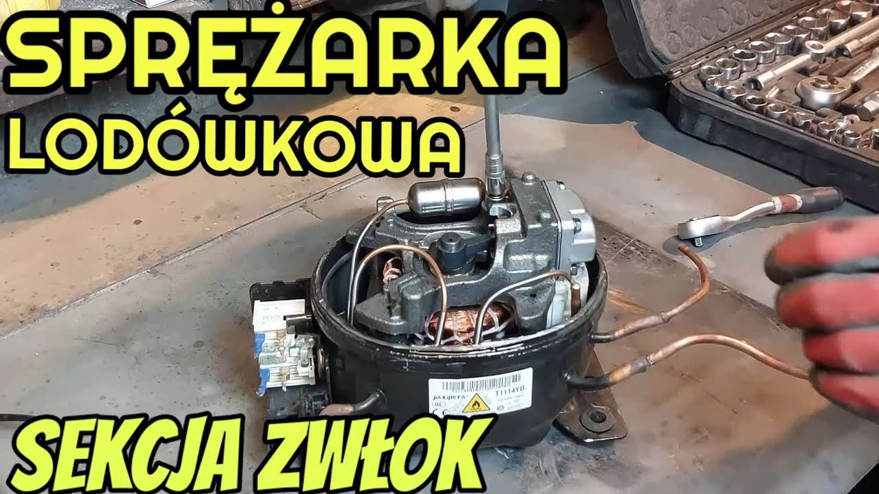 Sprężarka Lodówkowa Co jest w Środku ? / Sekcja Zwłok