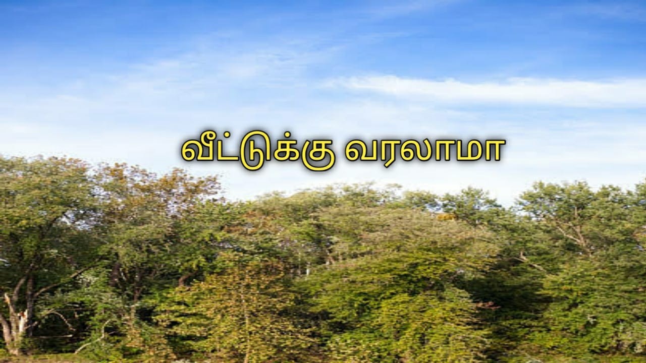 Mahanadhi | 27th to 29th February 2026 promo