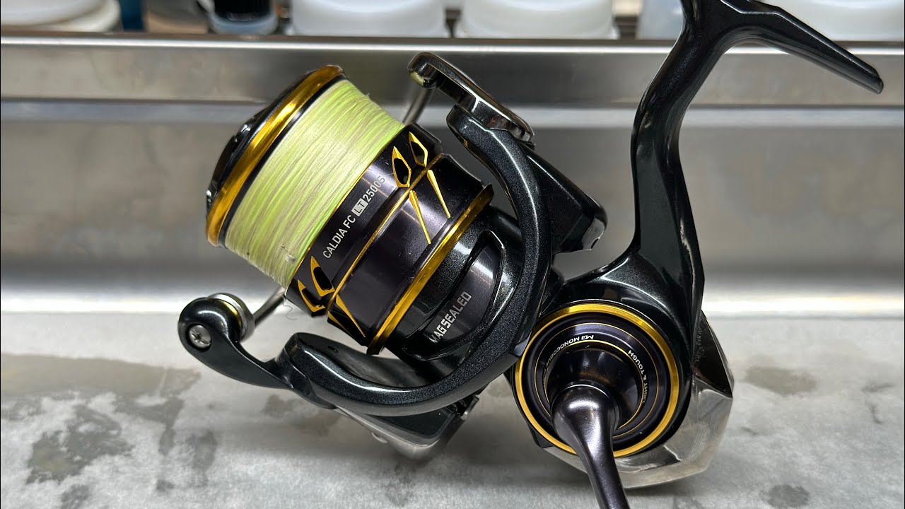 Scufundata! Magseal - Daiwa Caldia FC LT 2500S Monocoque