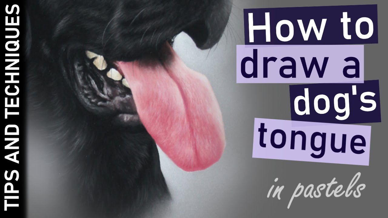 How to draw a realistic dog's tongue in pastels | Pastel drawing tips