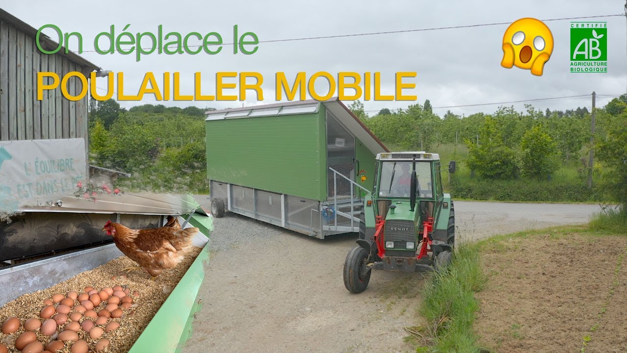 UNIQUE ‼️ ON DEPLACE LE POULAILLER MOBILE À LA FERME 🐓 😃  #Huhnermobil #AgricultureBiologique