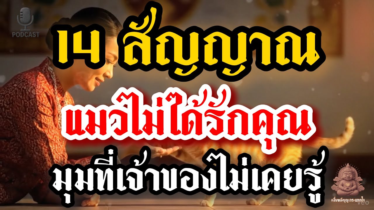 14 สัญญาณที่บ่งบอกว่าแมวของคุณ…ไม่รักคุณ : มุมธรรมะลึกซึ้งที่เจ้าของมักไม่เคยรู้