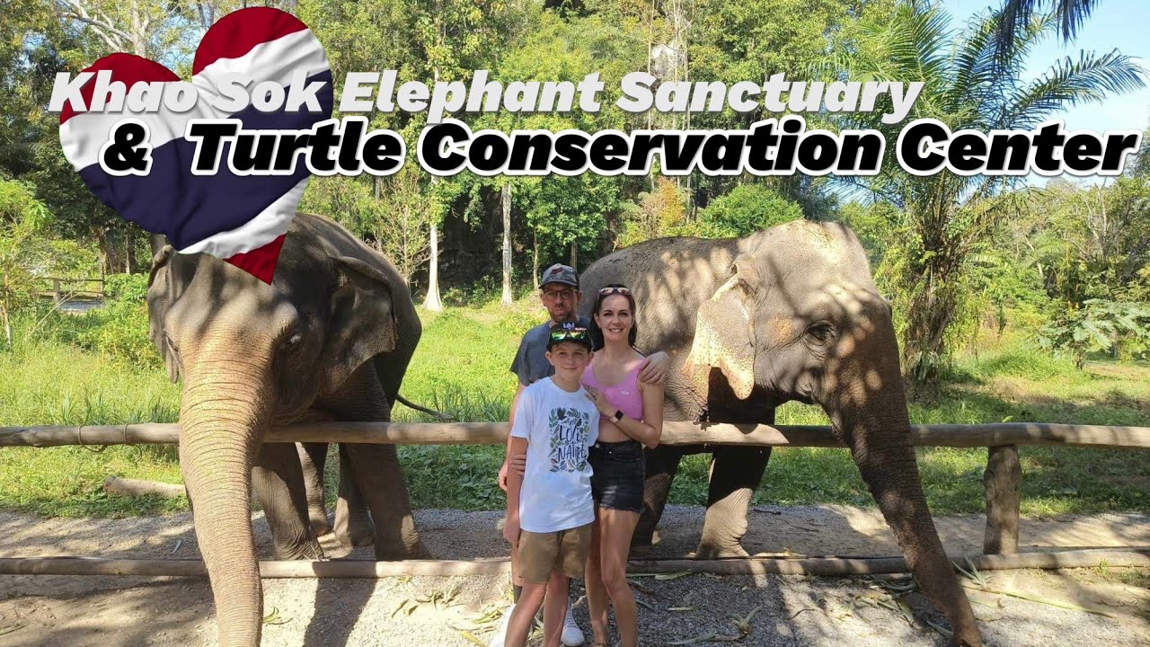Life-changing experience at Khao Sok Elephant Sanctuary. #thailand #elephant #wildlife